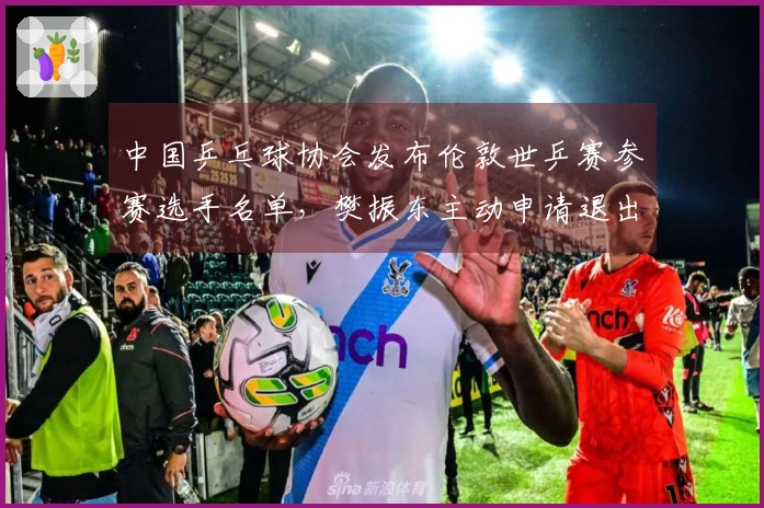 中国乒乓球协会发布伦敦世乒赛参赛选手名单，樊振东主动申请退出参赛