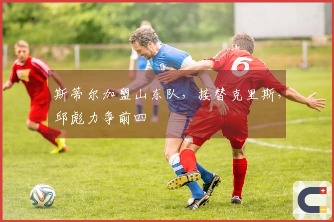 斯蒂尔加盟山东队，接替克里斯，邱彪力争前四