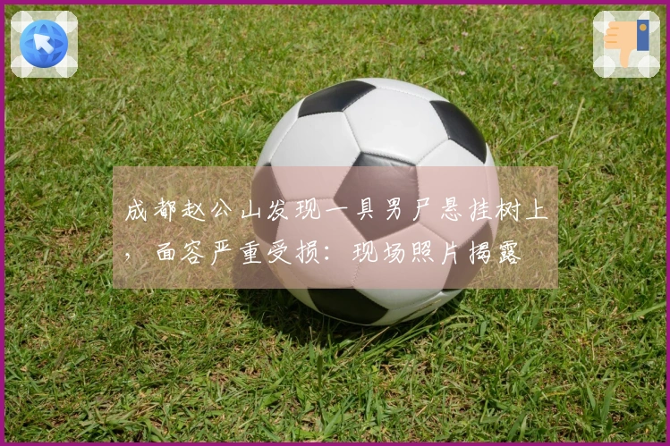 成都赵公山发现一具男尸悬挂树上，面容严重受损：现场照片揭露